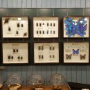 영곡마을 이미지