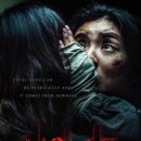 노이즈 카카오 검색결과