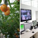 남안농장 이미지