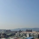 아지나라 이미지