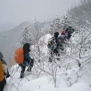 금남정맥 종주산행기(5구간) 무란리재~곰치재~호남고속도로~함박봉~황룡재 이미지