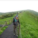 소백산 Daum카페