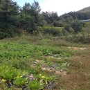 지성농장 이미지