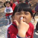 꿀참나무숲 유치원 이미지