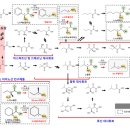 일차로 이미지