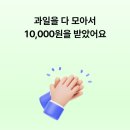 과일뱅크 | 케이뱅크 데굴데굴 농장 지원금 과일 모으기 이벤트 완성 후기 (1만원 받기)