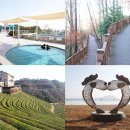 해수녹차센터 이미지