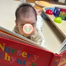 미라클유치원 | 소비기록 | 출산 5개월 일상 운동 시작 | 신생아템 졸업 | 세 돌 전집 과학공룡 | 유치원 설명회 시즌