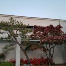 한국방송광고진흥공사대구지사