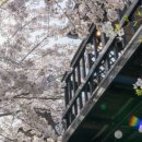 씨네마펜션 이미지