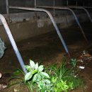 늘봄목장 이미지