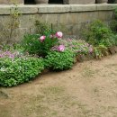 소박한 뜰 이미지