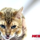 윤신근박사동물병원 이미지