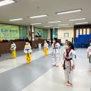용인대 해동 태권도장 이미지