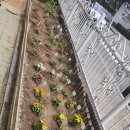 달란트어린이집 이미지