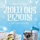 🍀강아지 여름 인견 이불 판매 (made by 함안길천사)🍀 이미지