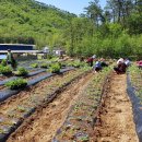 범당골농장 이미지