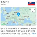 죽쑤는 딥스테이트 _ 슬로바키아 대선 이미지