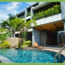 카사미아 이미지