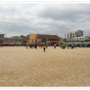 홍성초등학교 이미지