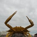 해오름광장 꽃게동상 이미지