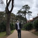 (주)그린카 | 일상) 상쿠의 헬로라이프 54번째 11월 일상이야기(feat.울산여행)