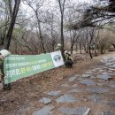 시민공원 남문 인근-4 국제신문