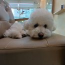 더숨헤어 이미지