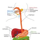 노스트한의원 이미지
