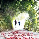 동백민박 이미지