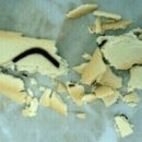 대전종합동물병원 이미지