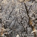 오십천로 이미지