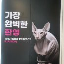 [울산] 울산 시립미술관 국제하이퍼리얼리즘 <가장 완벽한 환영> 전시 후기