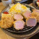 톤쇼우 이미지