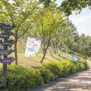 장생포고래로L 이미지