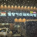 자성로133번길 | [부산 동구] 범일동 밀양가산돼지국밥 내돈내산 후기 🐷