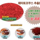 원 건강식품 건강약초
