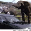 유진세차