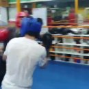 타이틀복싱킥복싱MMA우슈 이미지