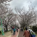 가락생태공원(2) 이미지