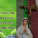 천주교 네아들 사제에게 보내는 91살 노모의 편지 이미지