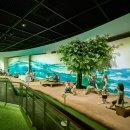 한국차문화공원 이미지