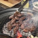 쿠시노아 주안점