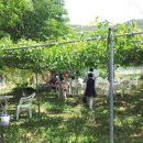 치악농장 이미지