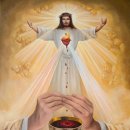 생명에 대한 나의 이미지