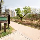 꿈꾸는개 이미지