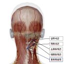 부일한의원 이미지