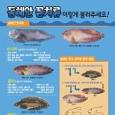 동해안곰치식당