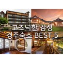 대경로 소나무 | 고즈넉한 감성 경주숙소 BEST 5 풀빌라, 한옥, 펜션까지 경주가볼만한곳