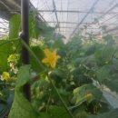 이충구농장 이미지